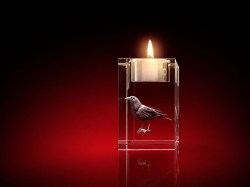 strahlend, LEDs, glasbild, geschenkidee, fotogeschenk, GLASFOTO.COM